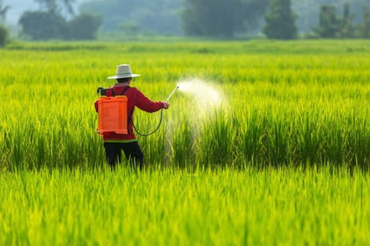 Kisan News