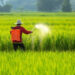 Kisan News