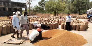 MP Kisan News