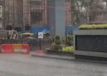 MP Mausam
