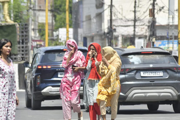 MP Mausam