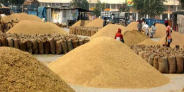 MSP Crop Procurement