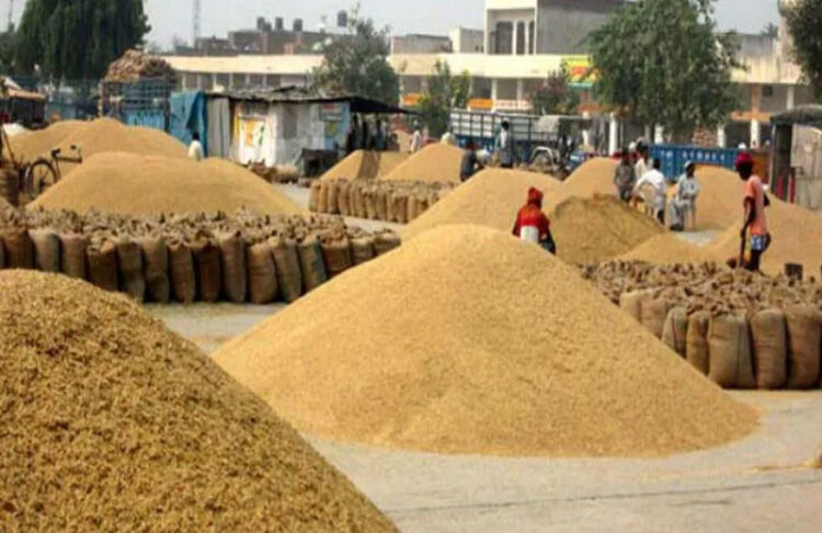 MSP Crop Procurement