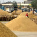 MSP Crop Procurement MSP Crop Procurement