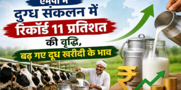 Milk Capital