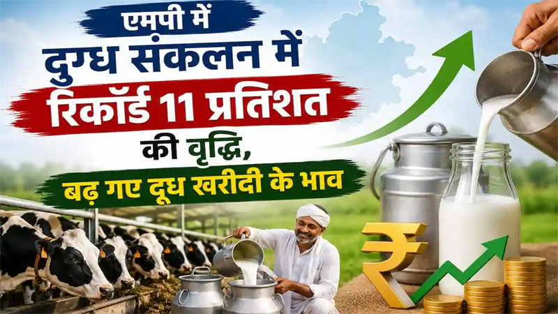 Milk Capital 1 Milk Capital