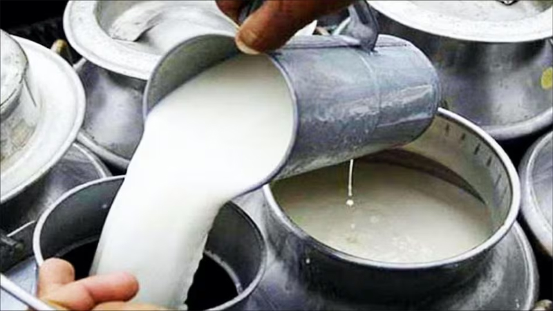 Milk Capital Milk Capital