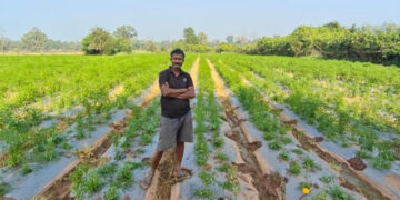Modern Farming