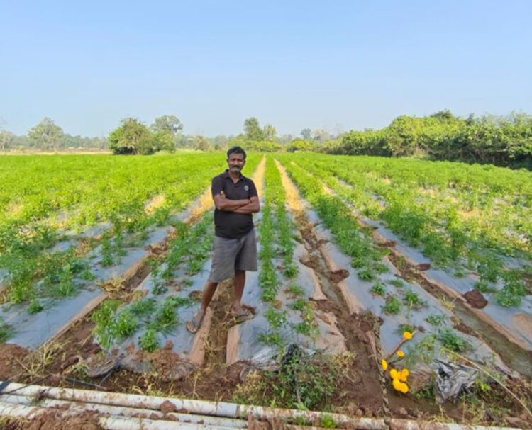 Modern Farming