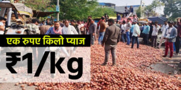 Onion Price