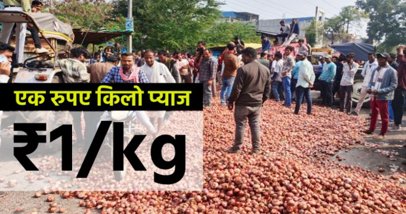 Onion Price 1 Onion Price