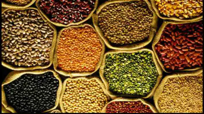 Seed Subsidy 