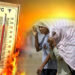Severe Heatwave Severe Heatwave