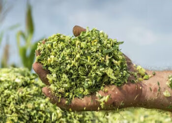 Silage Technology