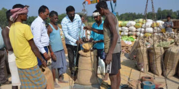 Wheat Procurement