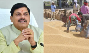 Wheat Procurement