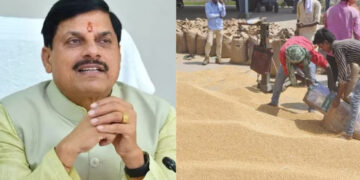 Wheat Procurement