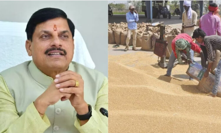Wheat Procurement