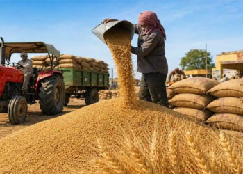 Wheat Procurement