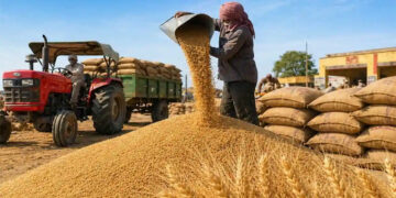 Wheat Procurement