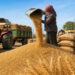 Wheat Procurement