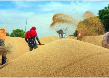 Wheat Production