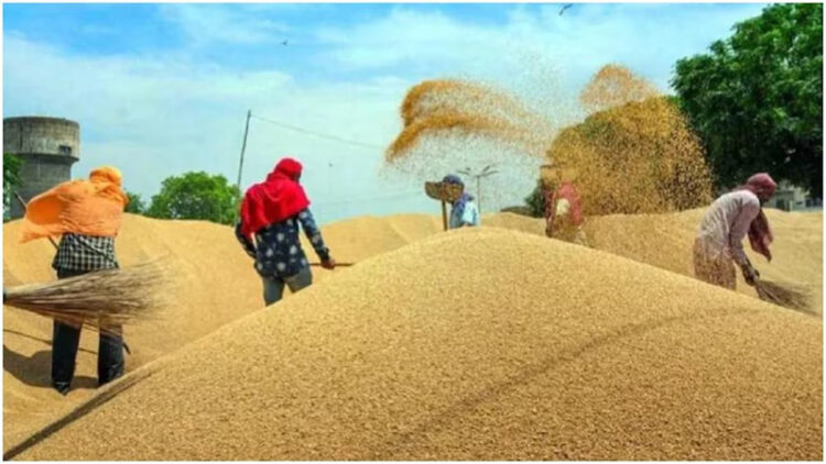 Wheat Production