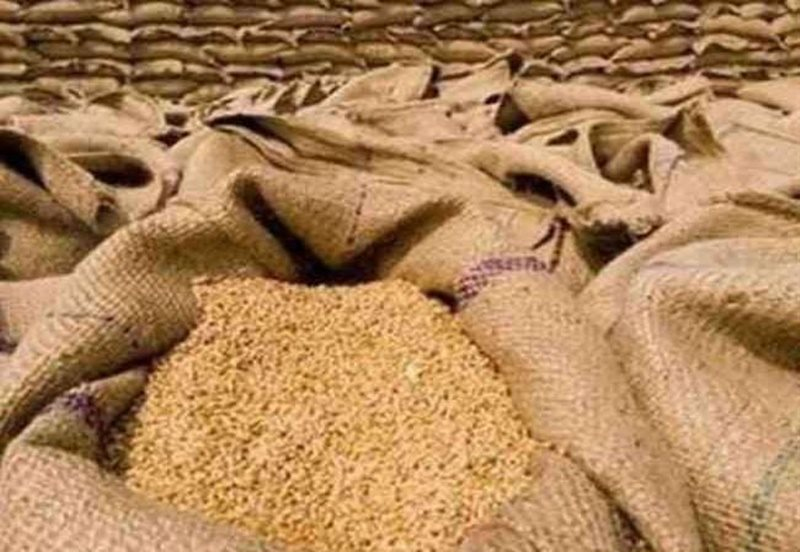 Wheat Production