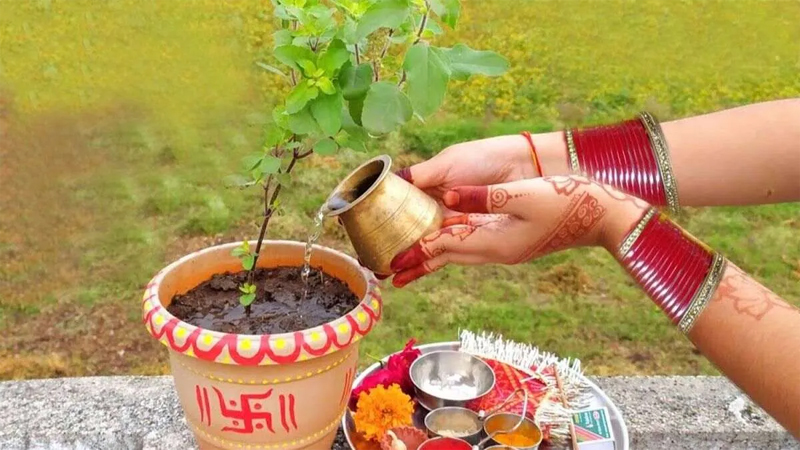 Tulsi Pujan