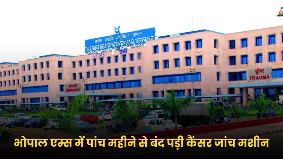 एम्स एम्स