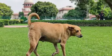 सुप्रीम कोर्ट
