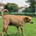 सुप्रीम कोर्ट