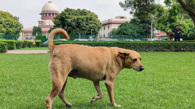 सुप्रीम कोर्ट सुप्रीम कोर्ट