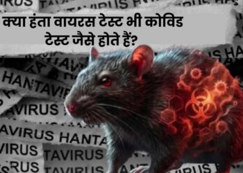 हंता वायरस