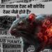 हंता वायरस