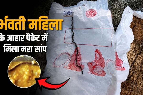 Dead Snake Found In Food Packet: गर्भवती महिला के पोषण आहार में मिला मरा हुआ सांप, पांढुर्ना की घटना ने बढ़ाई चिंता