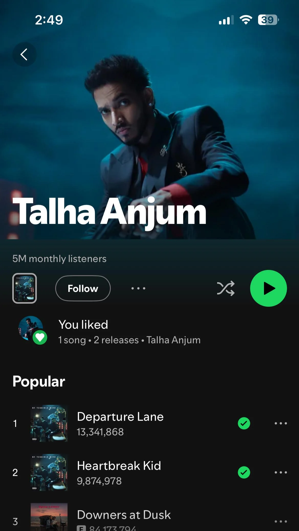 Talha Anjum